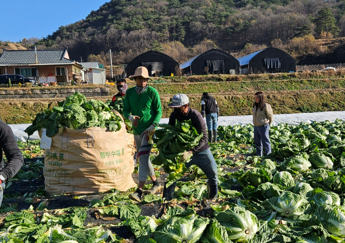 괴산군 제공