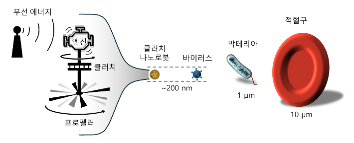 클러치 나노로봇 크기를 나타낸 모식도. IBS 제공