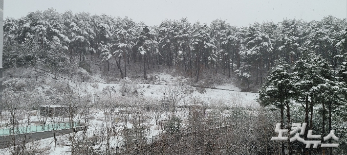 15일 강원산지와 동해안 지역에 대설주의가 발효된 가운데 강릉에 10cm 안팎의 눈이 내렸다. 전영래 기자