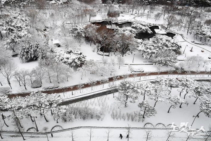 밤사이 서울 지역에 많은 눈이 내린 22일 오전 여의도 공원 일대가 새하연 눈으로 덮여있다.