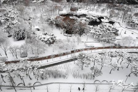 밤사이 서울 지역에 많은 눈이 내린 22일 오전 여의도 공원 일대가 새하연 눈으로 덮여있다.