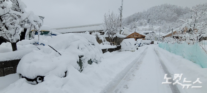 강릉 성산에 60cm 넘는 눈이 내리면서 눈 속에 파묻힌 차량들. 전영래 기자