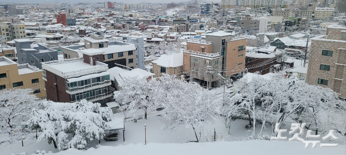 22일 오전까지 20cm 안팎의 눈이 내린 강릉. 전영래 기자