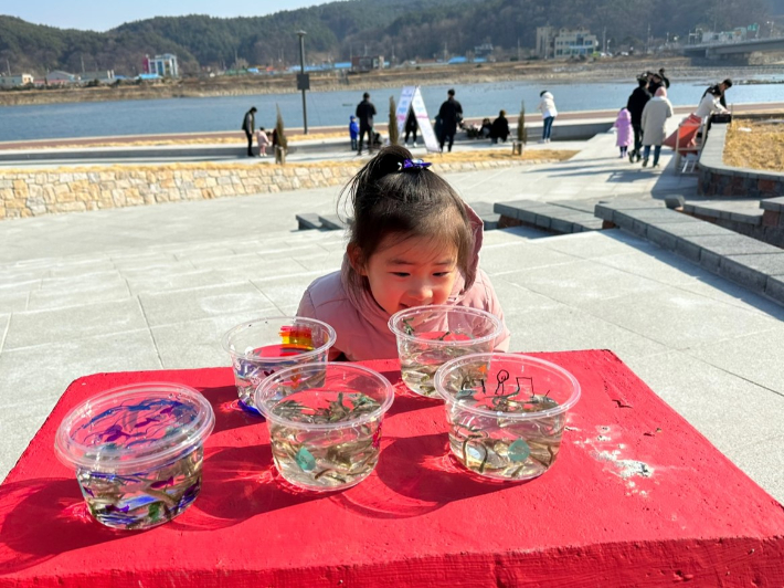 아기연어 보내기 체험 축제. 양양문화재단 제공