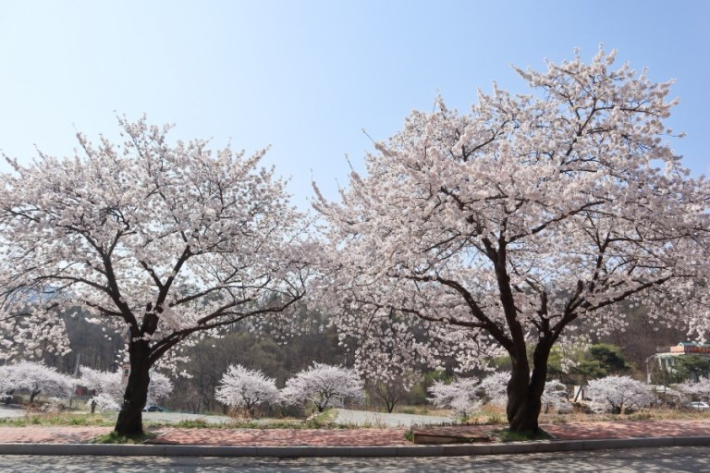 아산시 제공