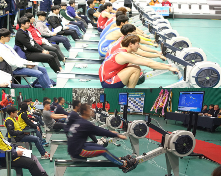 선수들이  실내조정대회에 출전해 경기를 벌이는 모습. 대한조정협회
