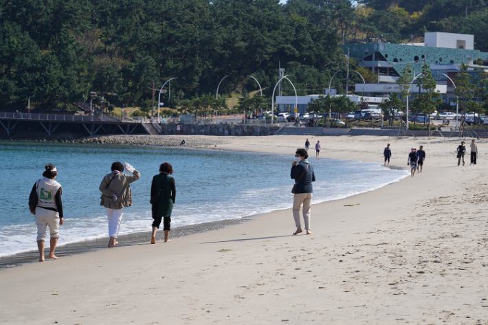 일산해수욕장. 울산 동구청 제공