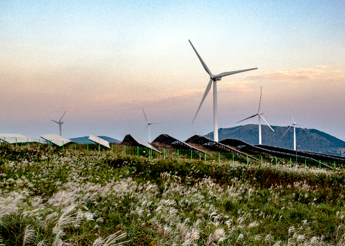 제주 풍력발전. 제주도 제공