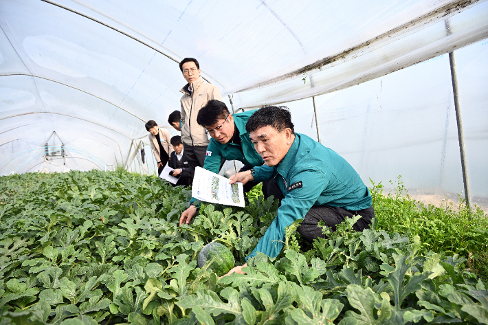 경남도의회 수박 피해 농가 점검. 경남도의회 제공 