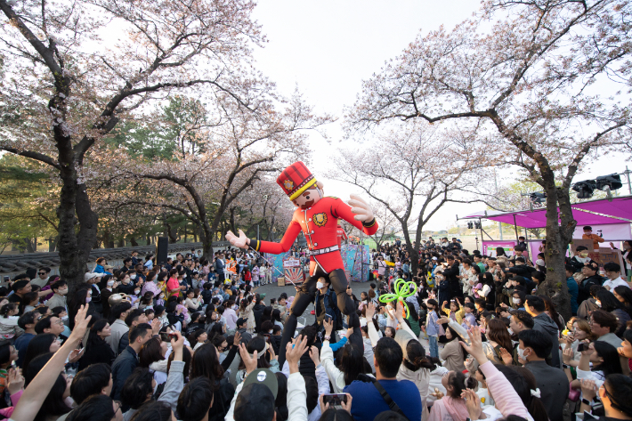 지난해 열린 경주벚꽃축제 모습. 경주시 제공