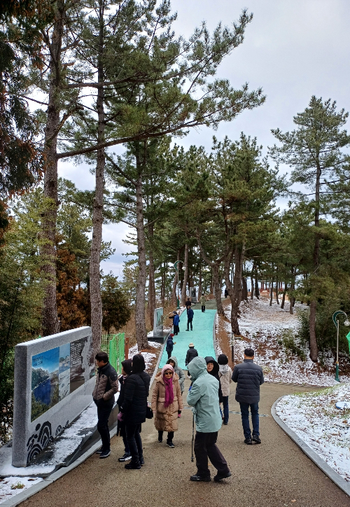 산림 관광과 축제 연계 프로그램 모습. 울진군 제공