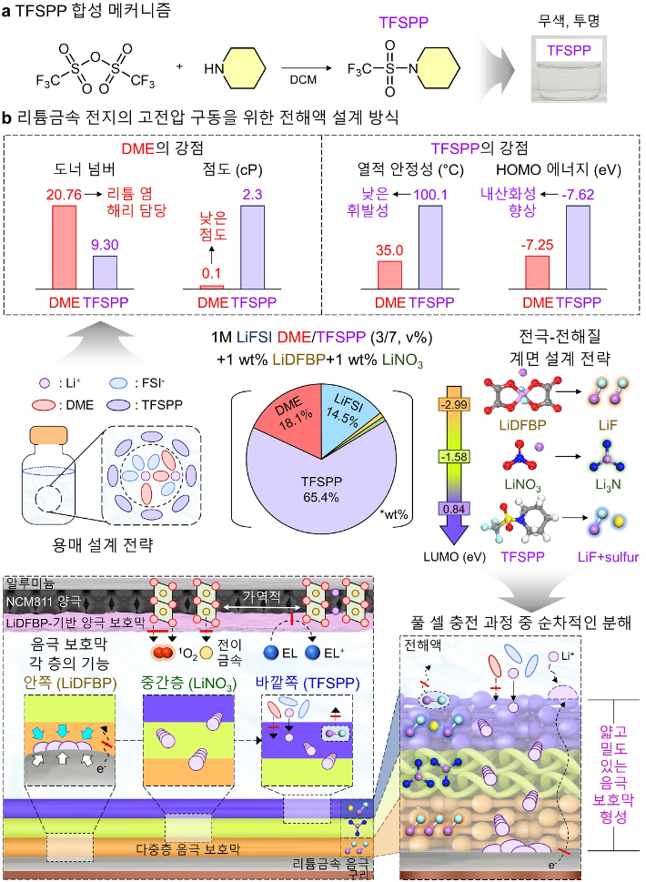 리튬금속전지의 고전압 구동을 위한 전해액 설계 방식 제안. 카이스트 제공