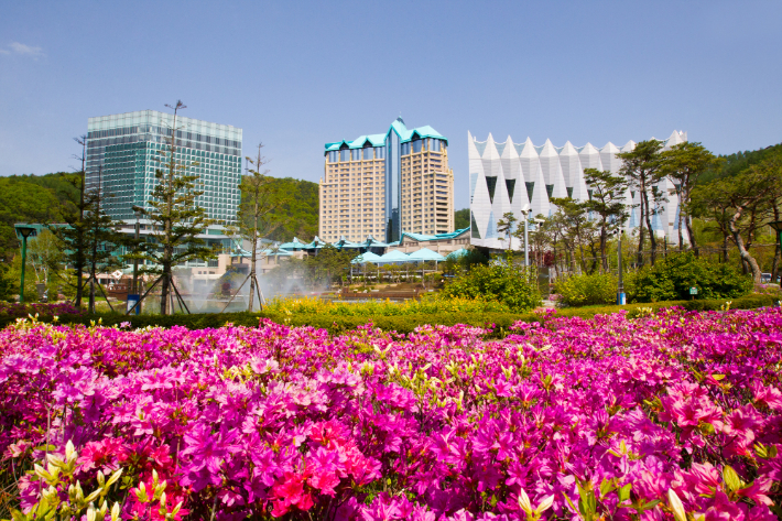 강원랜드 전경. 강원랜드 제공 