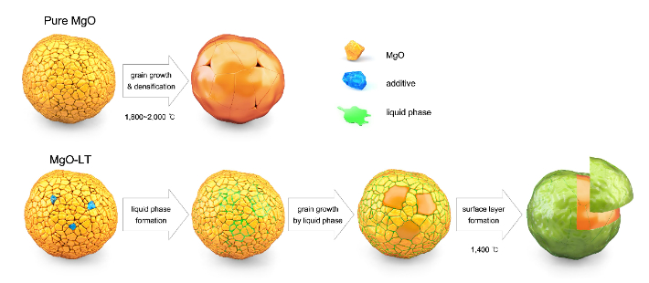 소결 공정중 결정립 성장 과정 모식도. 재료연구원 제공