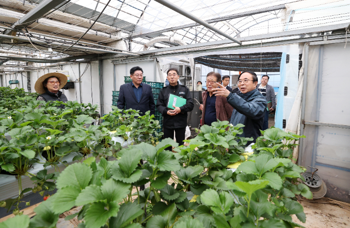 전북 임실군은 ICT 융복합 기술을 접목한 재배 온실 등 청년 창업농을 위한 스마트팜구축 지원사업에 적극 나서고 있다. 임실군 제공