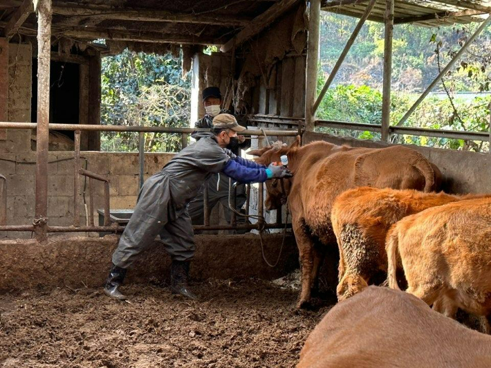 백신 접종. 경남도청 제공 