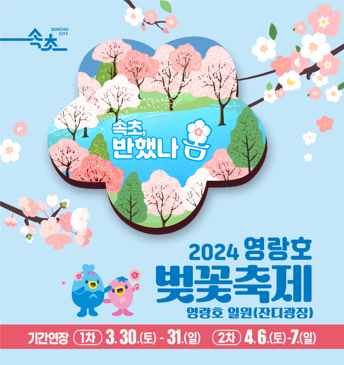 "아직 꽃이 피지 않아서" 속초시, 2024 영랑호 벚꽃축제 연장