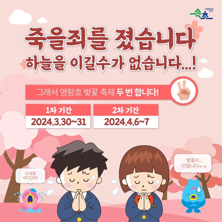 2024 영랑호 벚꽃축제 연장 안내. 속초시 공식 페이스북 캡처