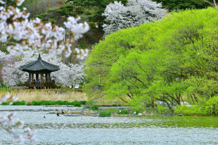 아산시 신정호 수변공원. 아산시 제공