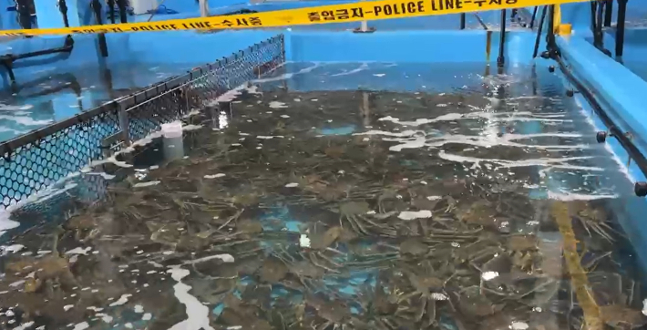 강원 동해경찰서는 특수절도와 관세법 위반 혐의로 A씨 등 9명을 검거하고 이 중 2명을 구속했다고 2일 밝혔다. 강원경찰청 제공 영상 캡처