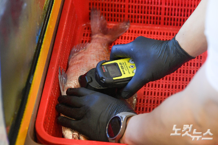 수산시장에서 일본산 수산물에 대한 방사능 검사를 하고 있다. 박종민 기자