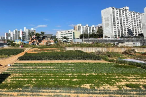 전주 남부권 반다비체육센터 부지. 전주시 제공