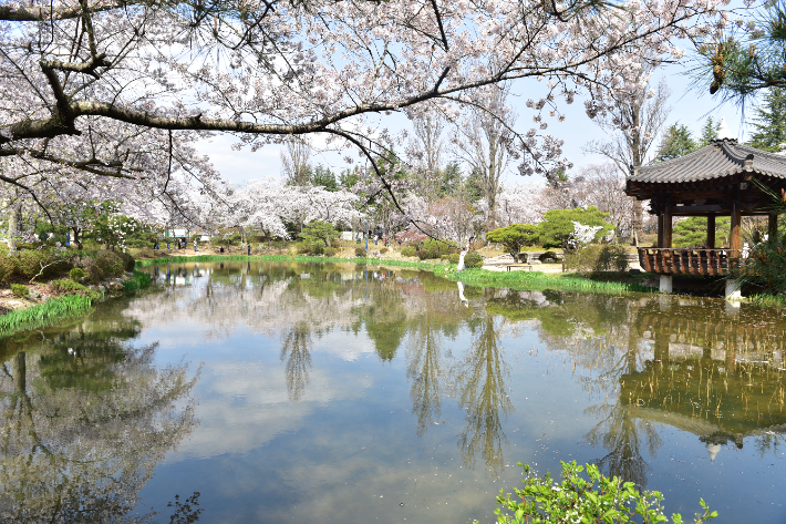 경주 보문관광단지 보문정 전경. 경북문화관광공사 제공