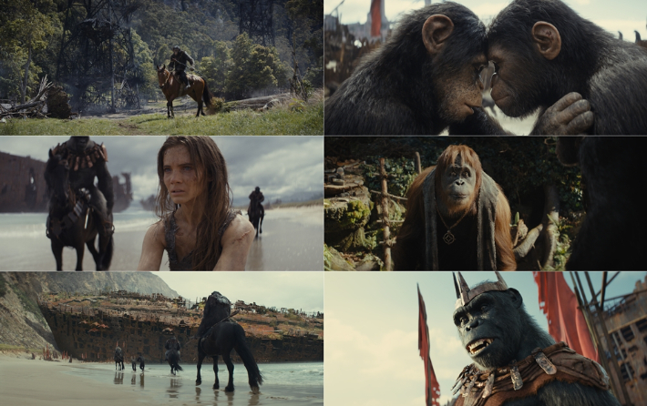 Un extrait du film étranger « La Planète des singes : une nouvelle ère ».  Fourni par Walt Disney Company Corée