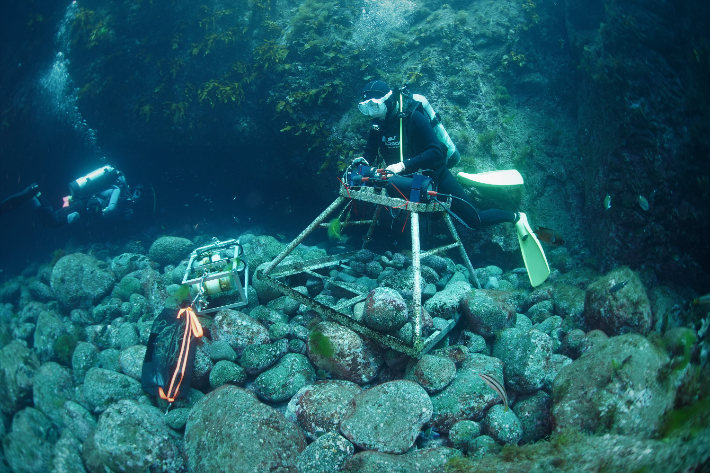 대학 연구진이 해저를 탐사하며 연구활동을 하는 모습이다. 경북대 제공 