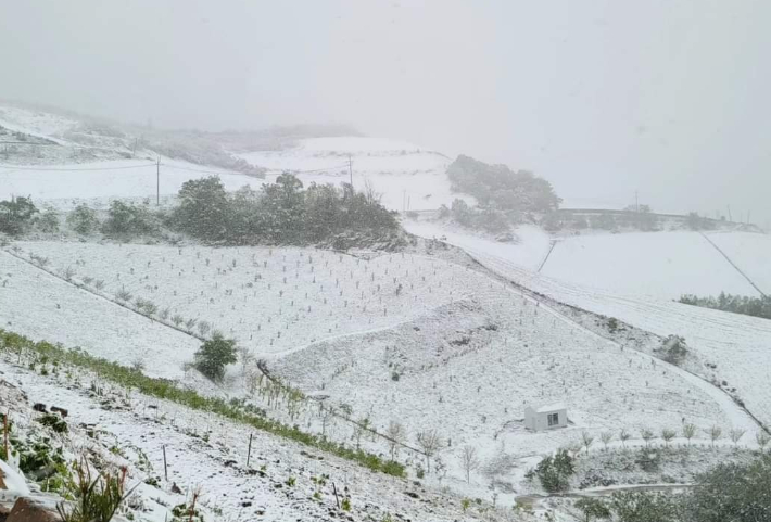16일 강릉 안반데기 농원 일대에 눈이 쌓인 모습. 안반데기 관광농원 김봉래 대표 SNS 캡처 