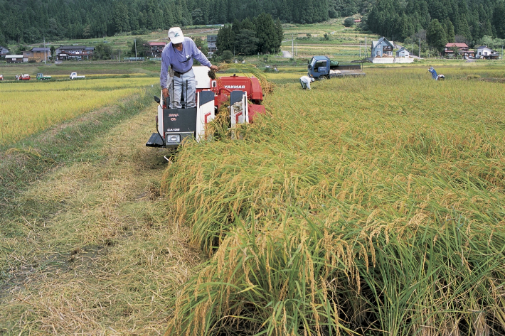 스마트이미지 제공