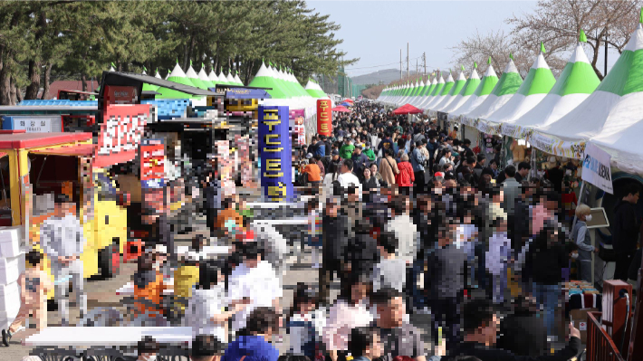 삼척맹방유채꽃 축제장을 찾은 시민과 관광객들. 삼척시 제공