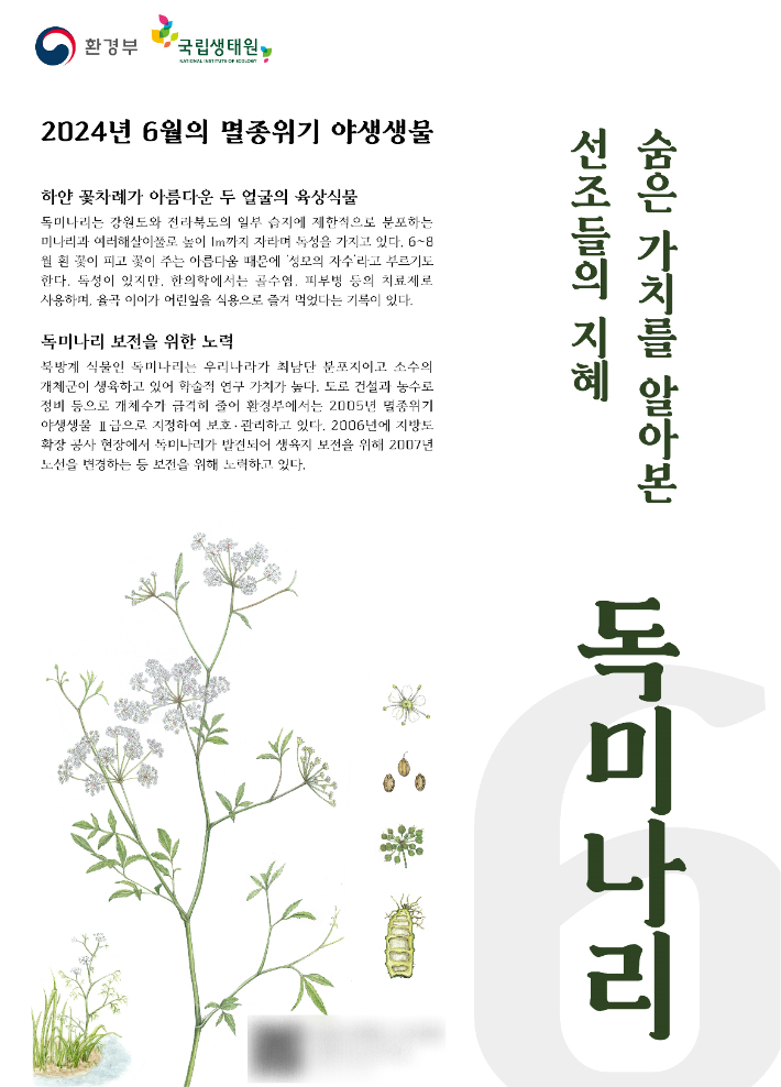 환경부 제공