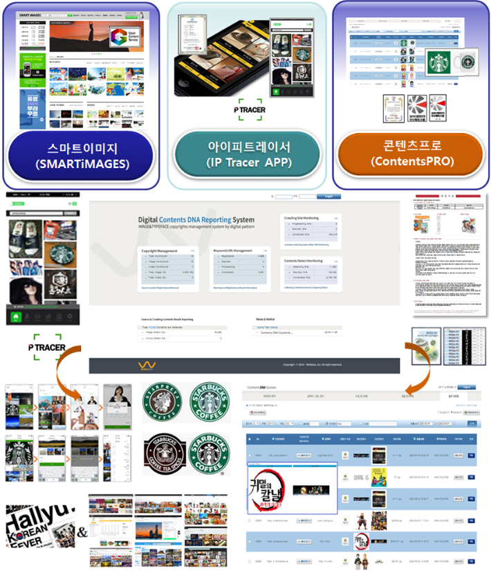 위즈데이타 제공