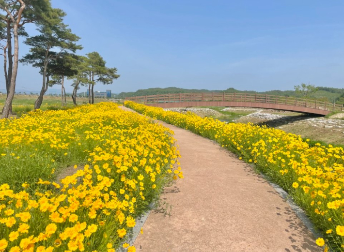 예천군 제공