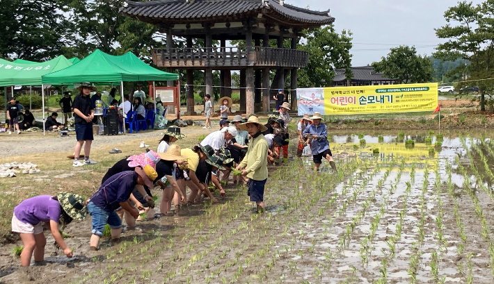 어린이 친환경 손모내기 체험행사. 전라남도 제공