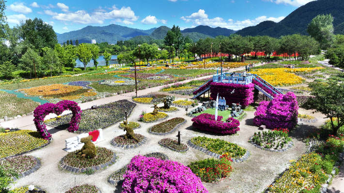 '가평 자라섬 꽃 페스타'. 가평군 제공
