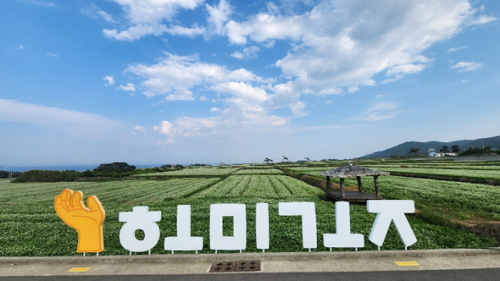 포항시 제공