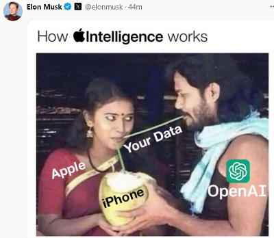 일론 머스크 X 게시물 캡처