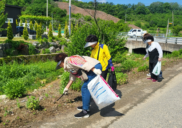 괴산군 제공