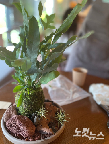 이날 직접 만들어 본 작은 테이블 정원. 장규석 기자 