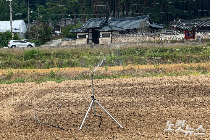 광주 남구 대촌동 한 콩밭에 스프링클러가 작동하고 있다. 김수진 기자