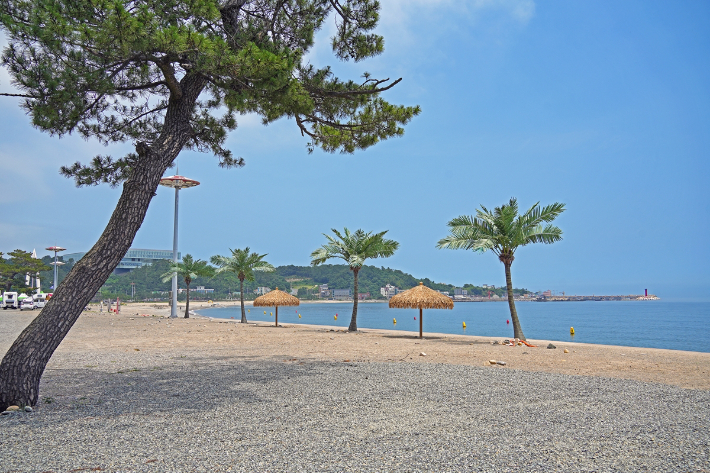 경주 관성솔밭해수욕장. 경북문화관광공사 제공