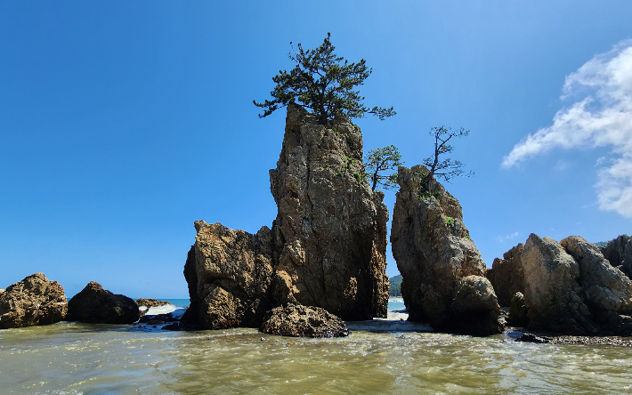 포항 신창 해수욕장. 경북문화관광공사 제공