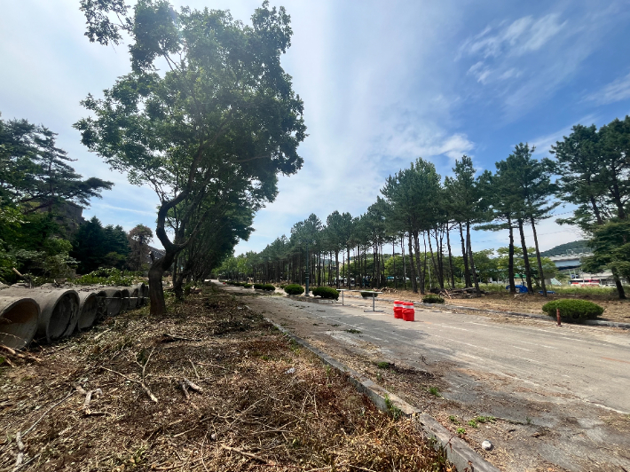 전북 남원시는 폐교된 서남대 캠퍼스 내 수목을 정비하고, 공사 중이던 미준공 건축물에 대한 철거를 진행하고 있다. 남원시 제공