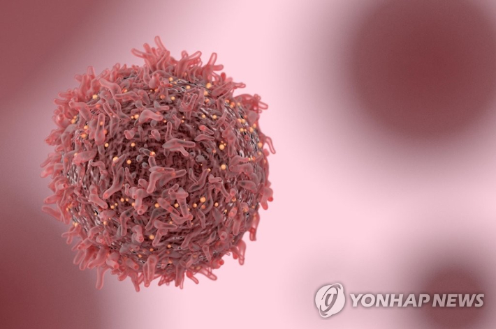 게티이미지뱅크 제공