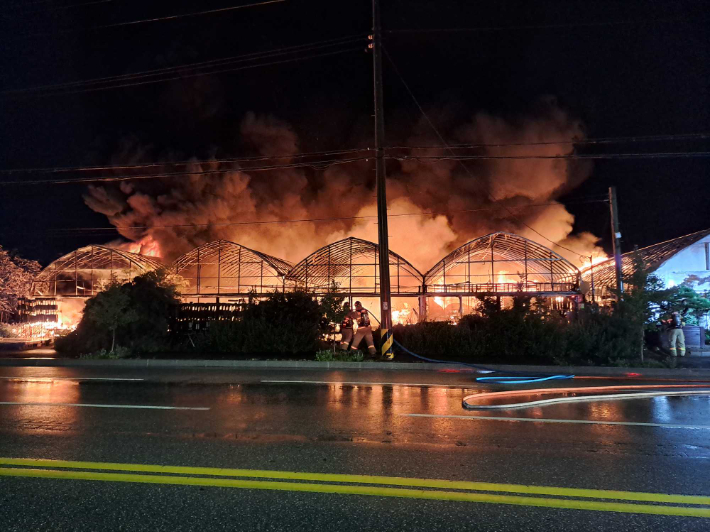 30일 오전 0시 52분쯤 강원 강릉 송정동의 한 화훼 재배 비닐하우스에서 불이 나 출동한 소방대원 등에 1시간 만에 완전히 꺼졌다. 강릉소방서 제공