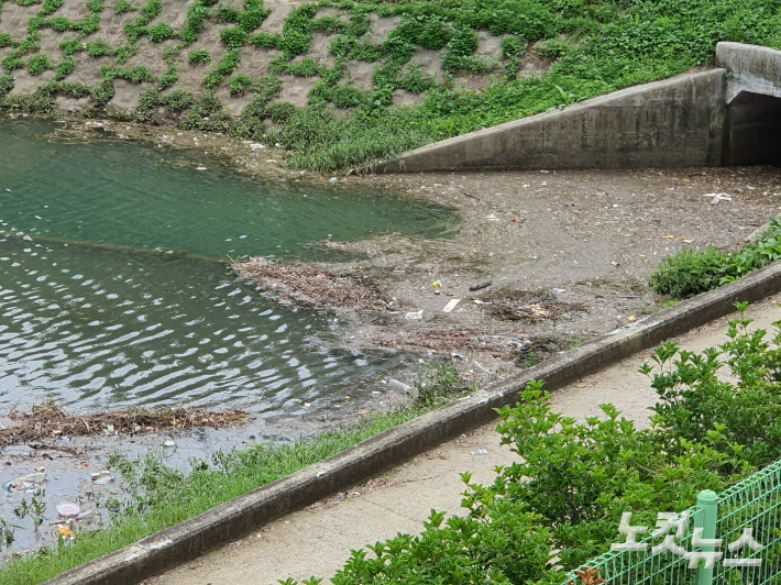 도서관·체육관 부지에 물이 들어 차면서 온갖 부유물이 고여 있다. 고영호 기자