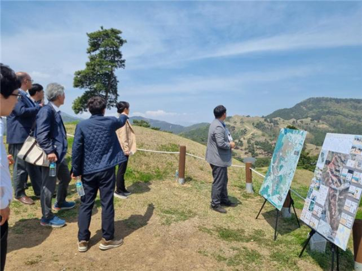 전문가들이 지난 4월 12일 고령 지산동 고분군 현지조사를 하고 있다. 경북도 제공