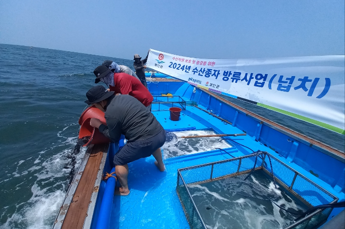 전북 부안군이 3일 부안 변산면 연안 해상에 넙치 치어 46만 마리를 방류했다. 부안군 제공
